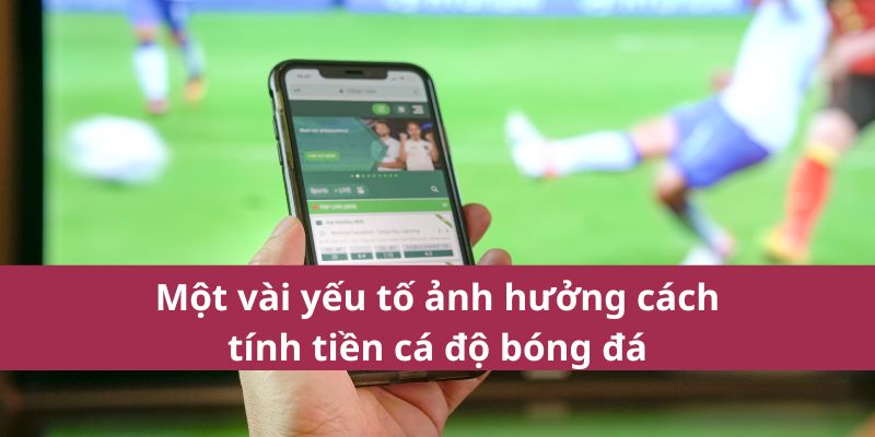 cach-tinh-tien-ca-do-bong-da-3