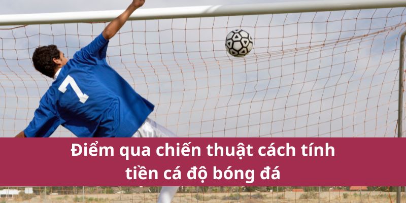 cach-tinh-tien-ca-do-bong-da-4