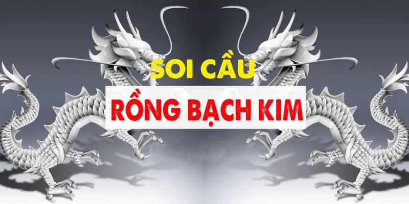 dan-de-rong-bach-kim-1