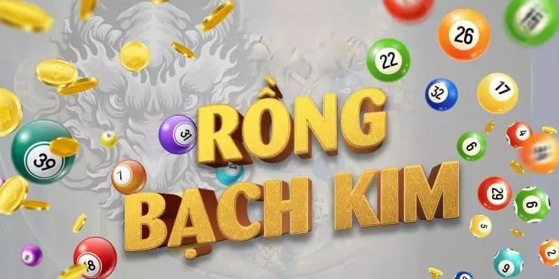 dan-de-rong-bach-kim-3